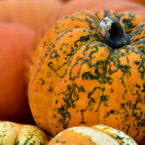 low-carb-pumpkin-recipes Low Carb Pumpkin Recipes