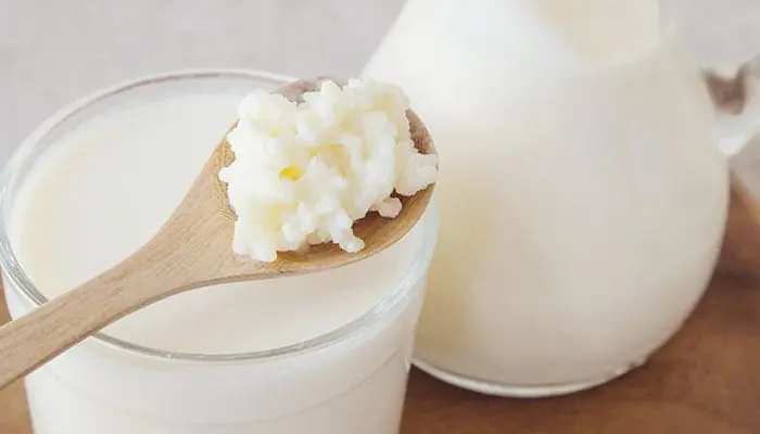 Keto Probiotics - Milk Kefir