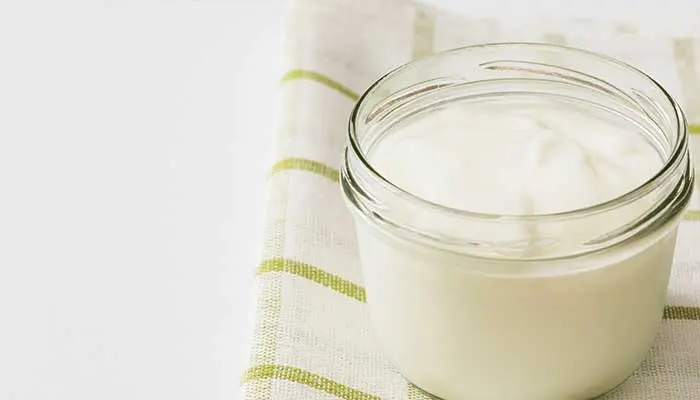 Keto Probiotics - Sour Cream