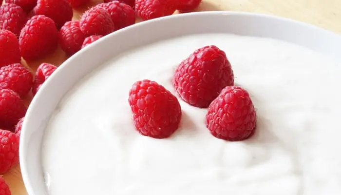 Keto Probiotics - Yogurt