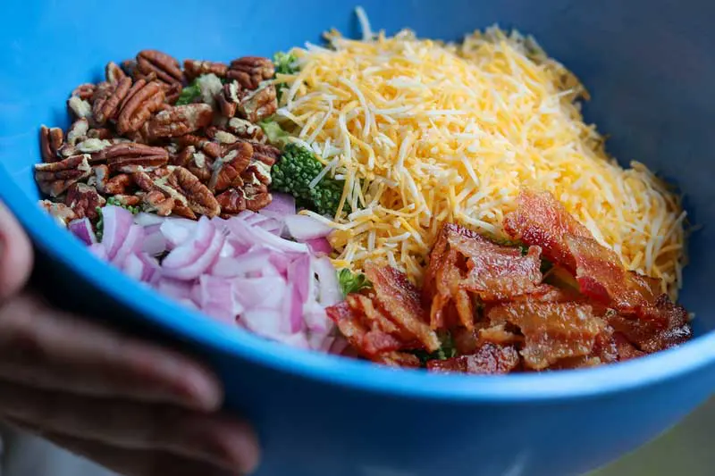 Broccoli Salad