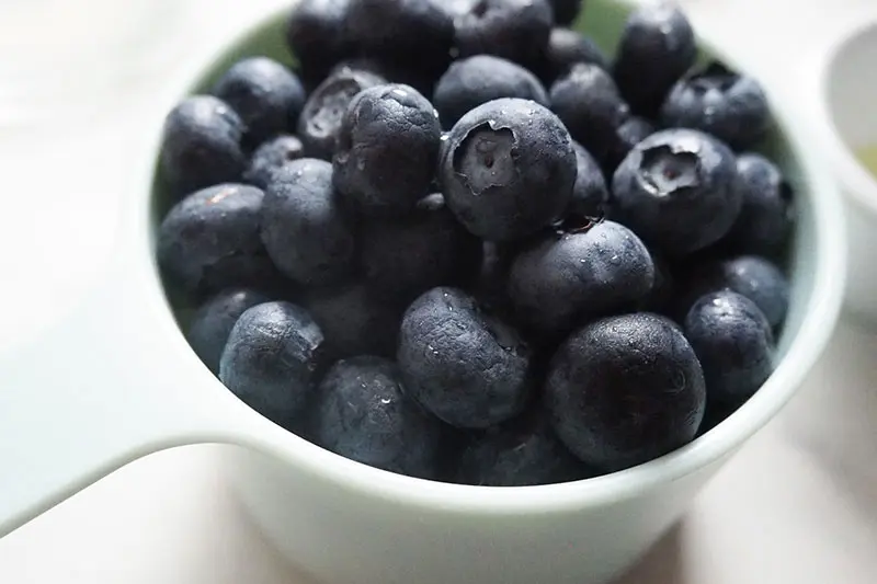 Fresh Blueberries