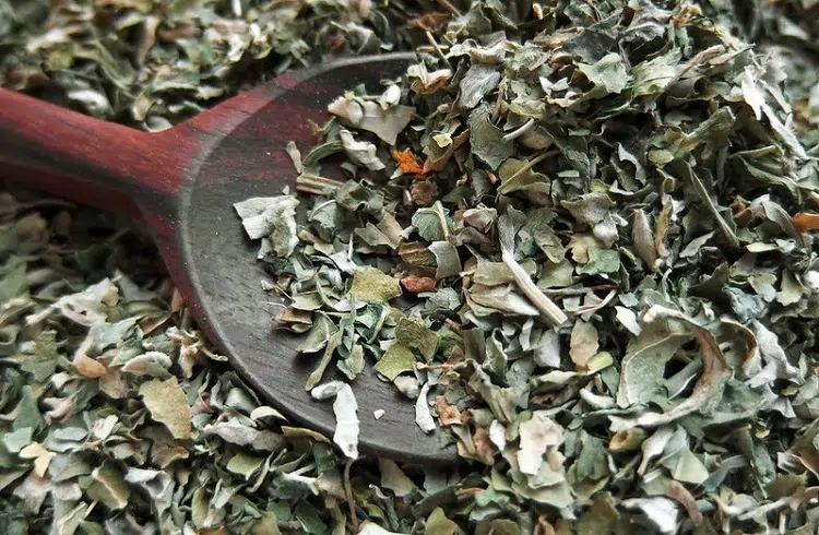 Dried Fenugreek Leaves On Spoon