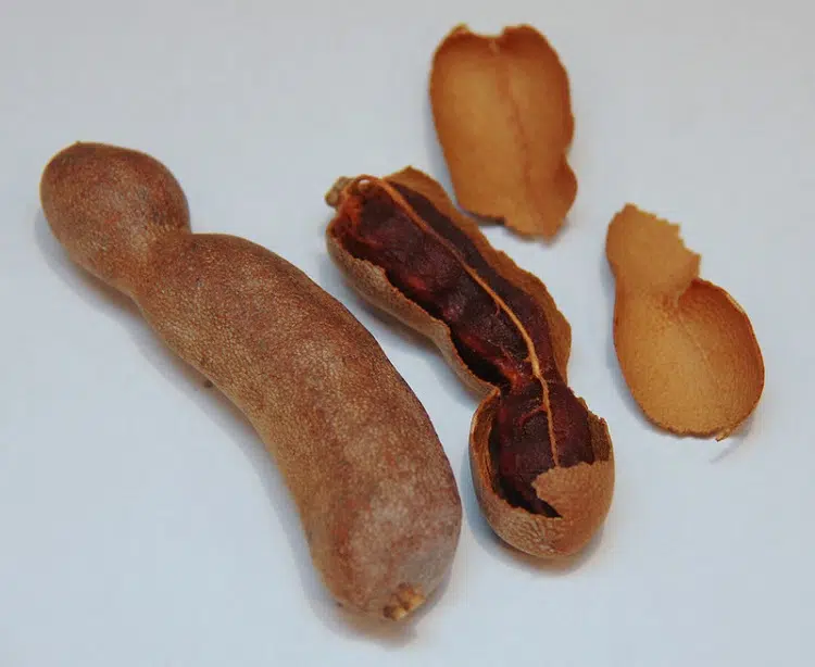 Tamarind Fruit