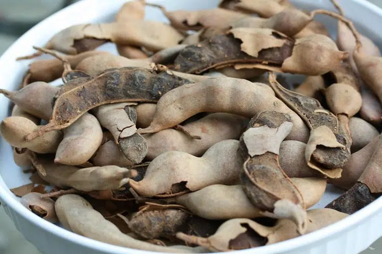 Dried Tamarind Fruit