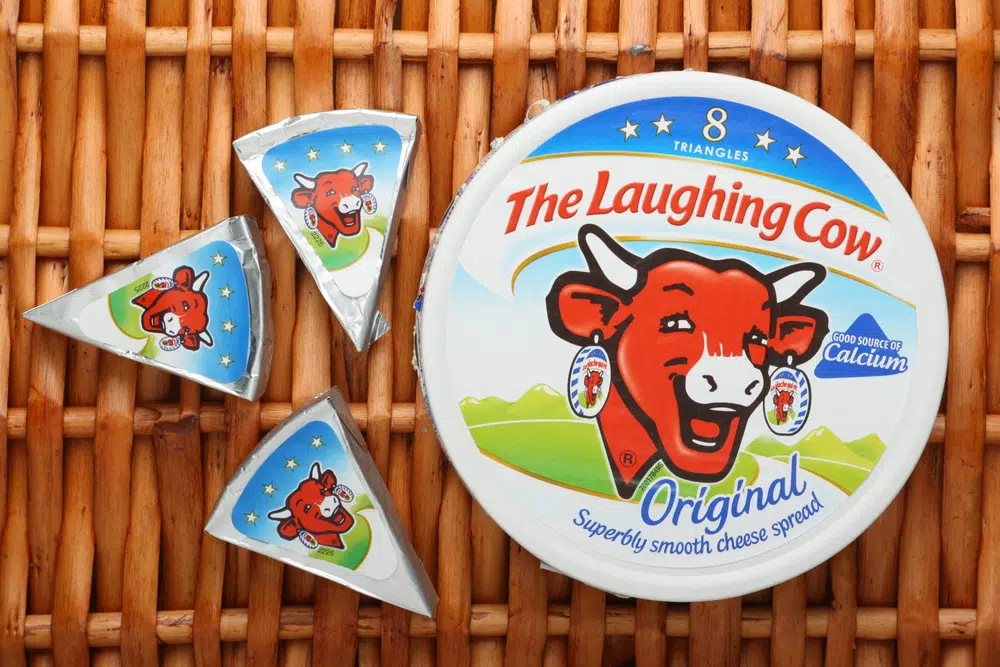 A Box Of The Laughing Cow Cheese Spread And Three Individual Portions