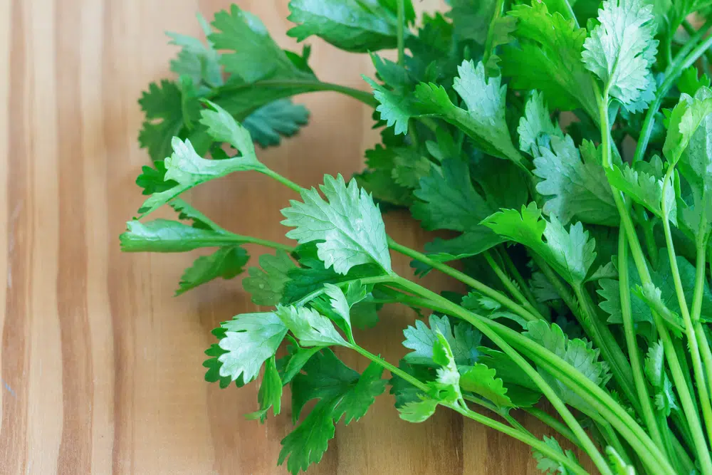 Is Cilantro Keto Friendly