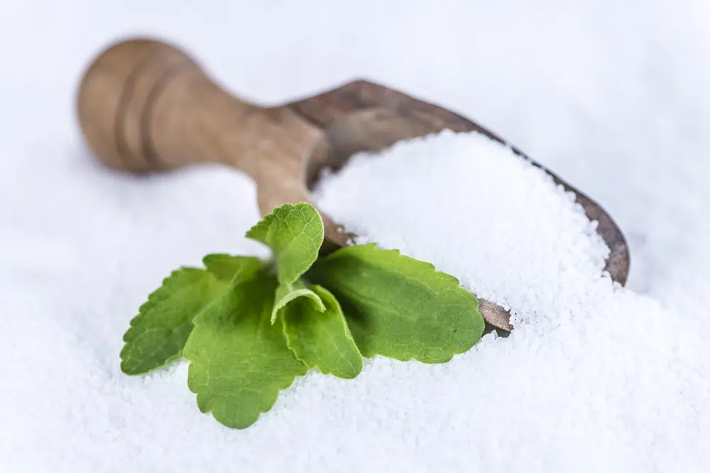 Close Up Of Stevia Plant And Stevia Granules