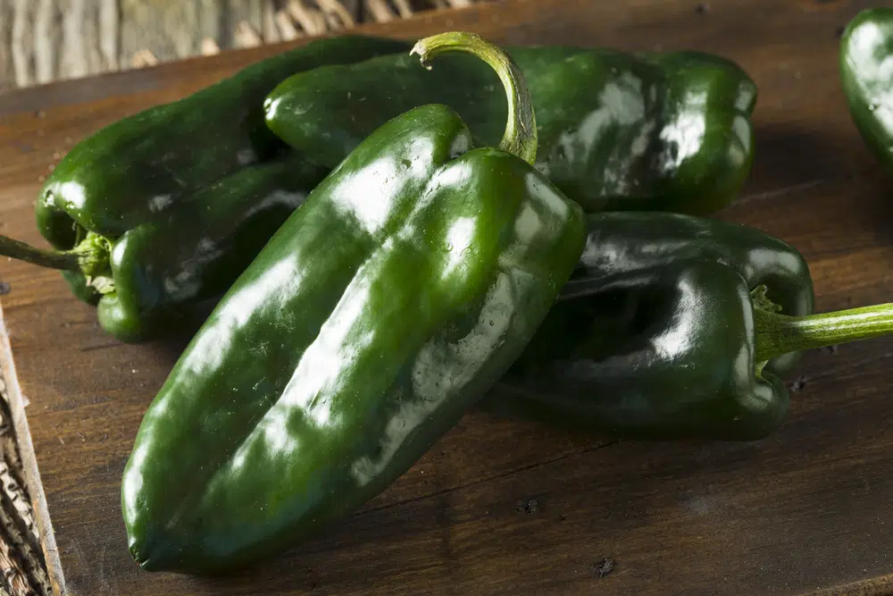 Is Poblano Pepper Keto Friendly