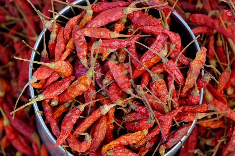 Dried Red Chili Or Chilli Cayenne Pepper