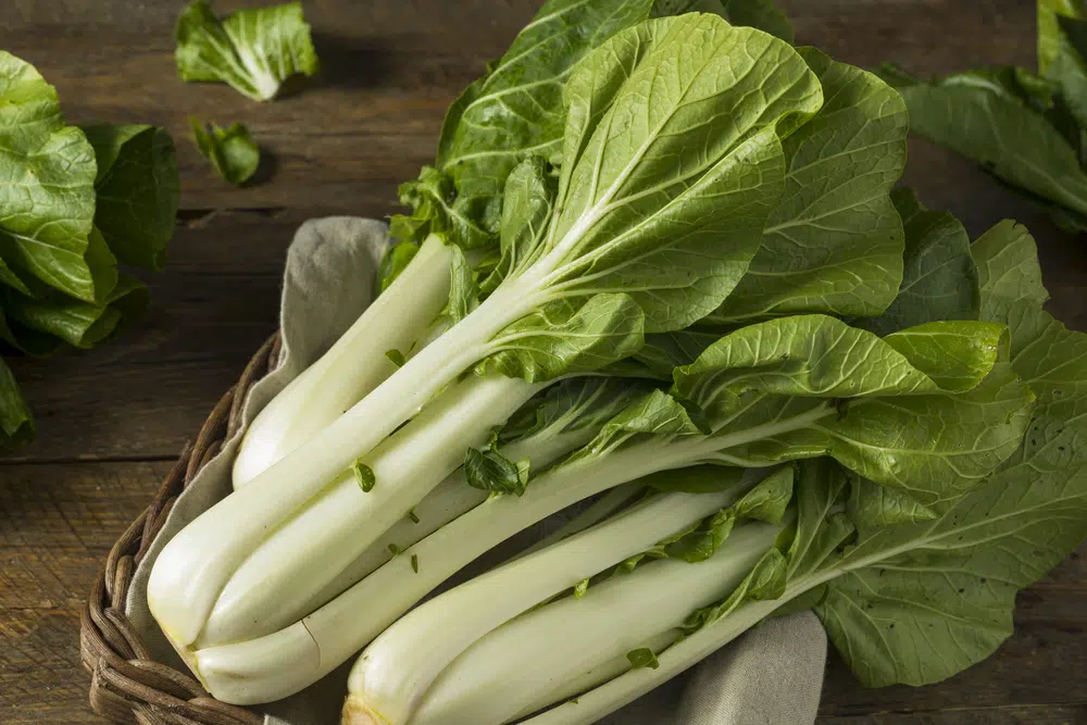 Is Chinese Cabbage Keto Friendly