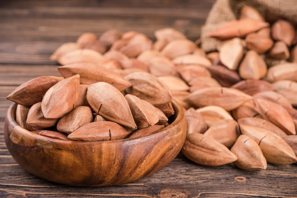 Is Pili Nut Keto Friendly