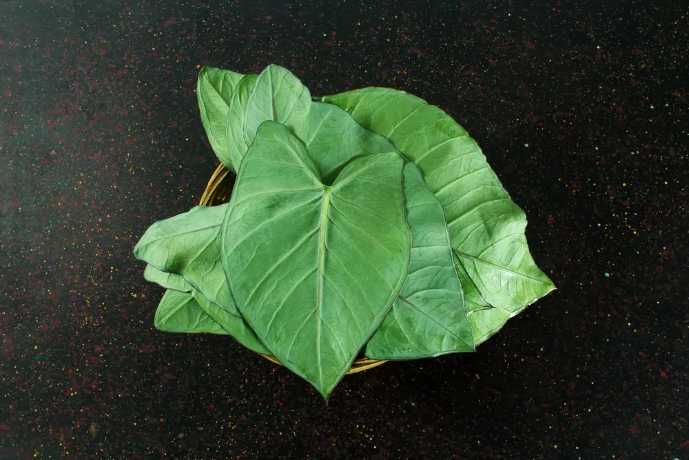 Is Taro Leaves Keto Friendly