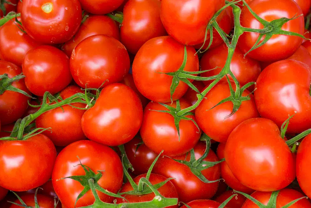 Is Tomato Keto Friendly