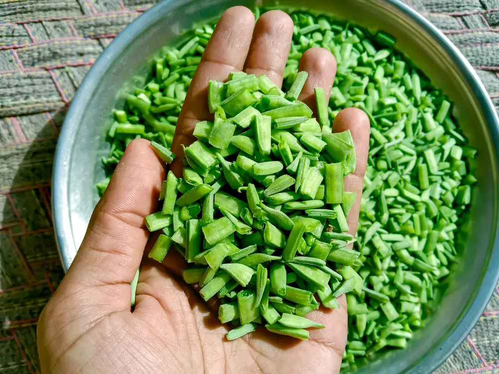 The Guar Or Cluster Bean Aka The Source Of Guar Gum
