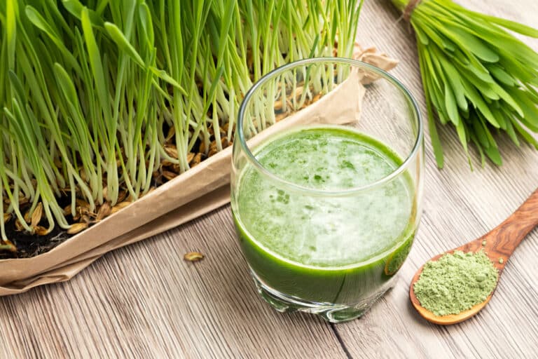 Keto News: Is Barley Grass Keto Friendly?
