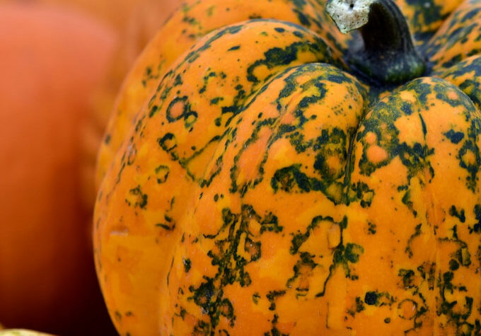 low-carb-pumpkin-recipes Low Carb Pumpkin Recipes